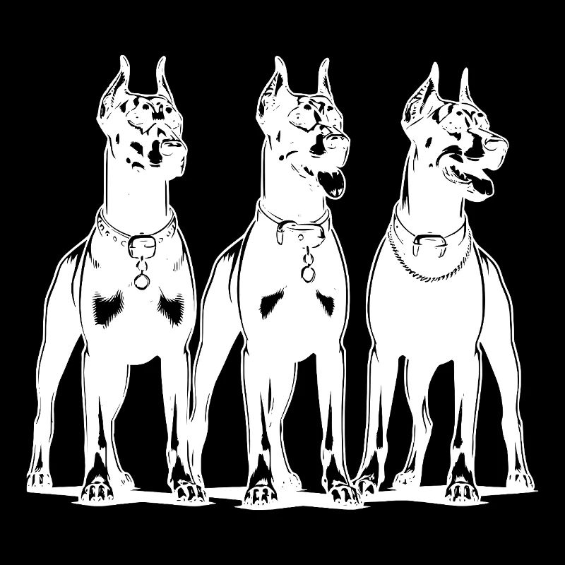 Three smart watchful Dobermans dogs