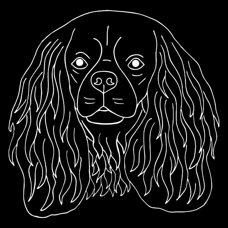 Cavalier King Charles Spaniel