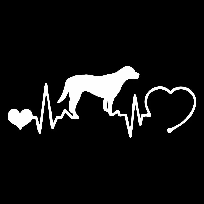 Labrador mit Herzschlag