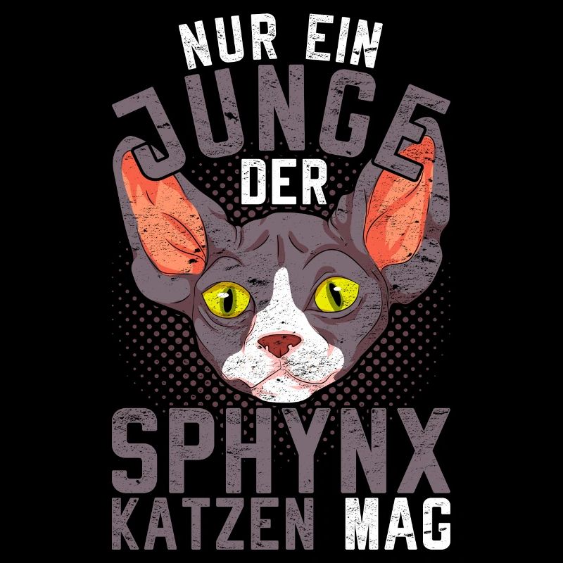 Nur ein Junge der Sphynx Katzen mag Sphynx Katze