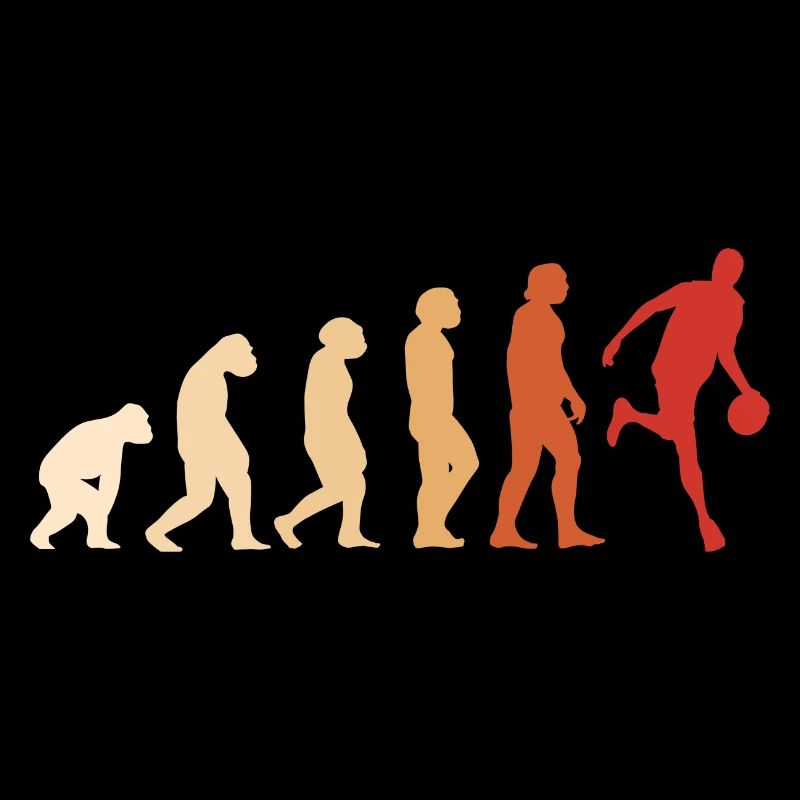 Sport Evolution Basketball