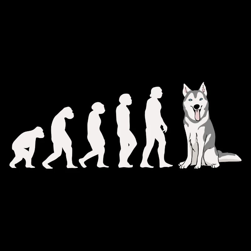 Evolution Siberian Husky