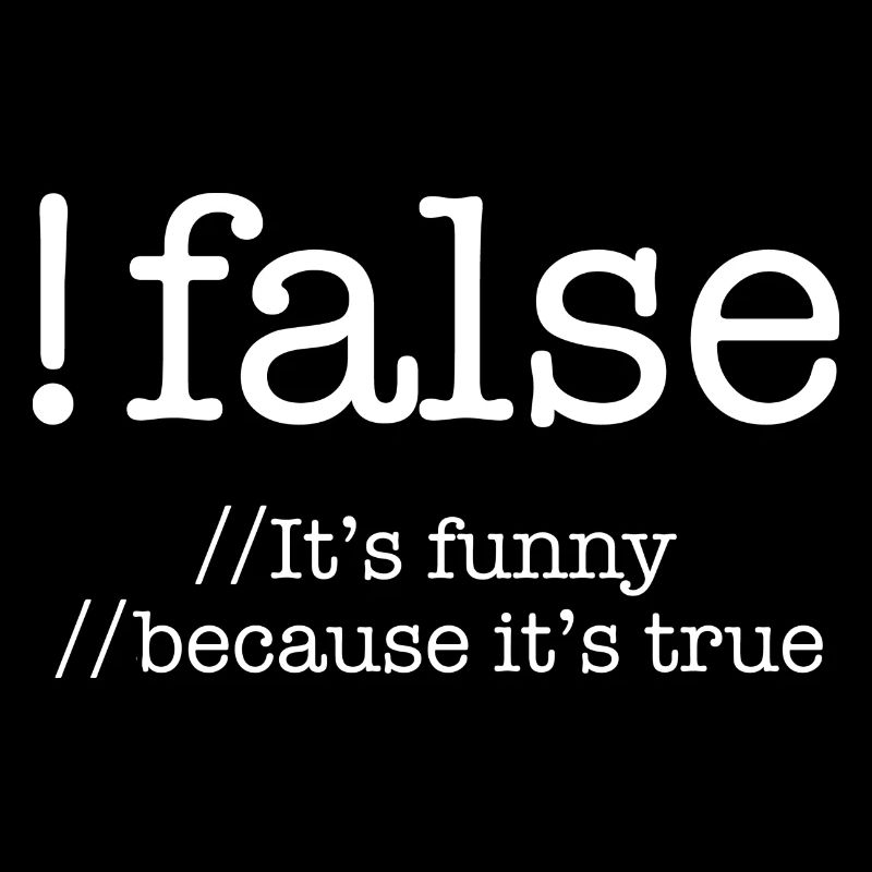 False Programming Coding Programmers Gift