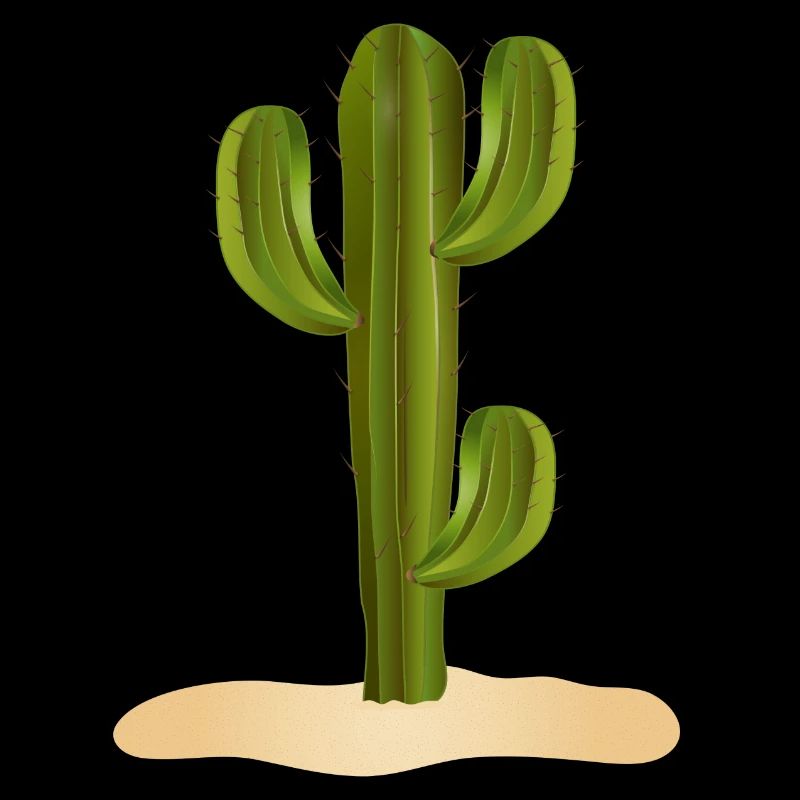 Grand cactus vert dans le désert dans le sable