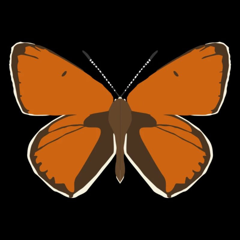 Papillons : Le Grand Papillon de Feu