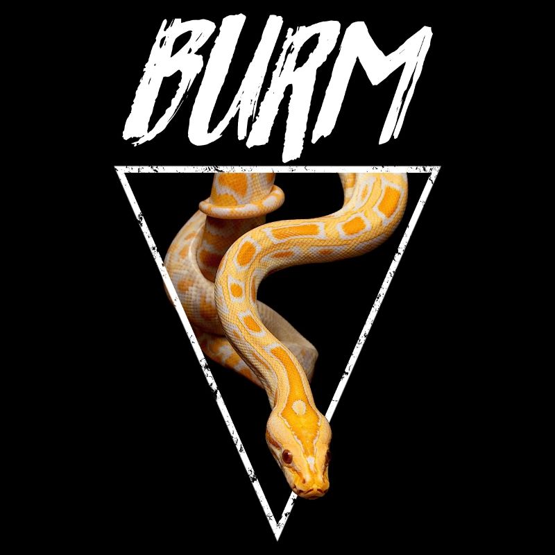 Albino Birmese Python Snake Owner