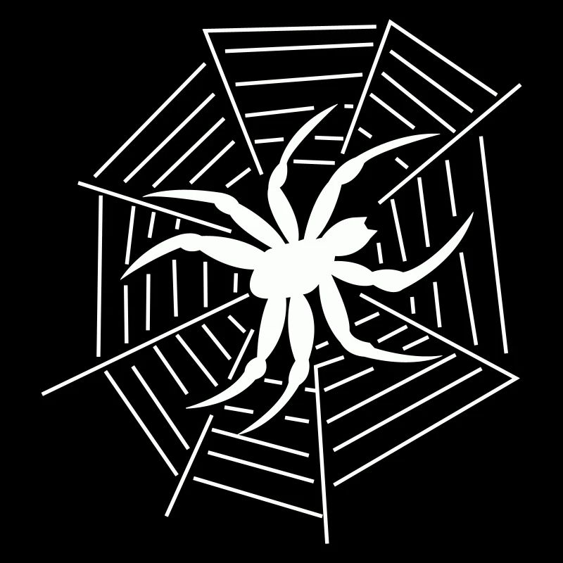 Spinne Spider