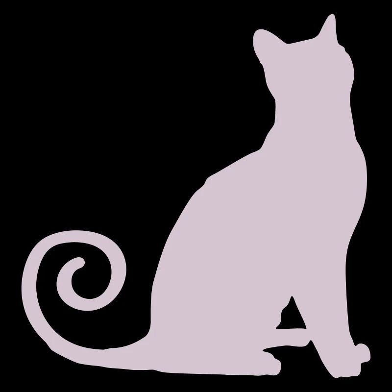 Silhouette de chat