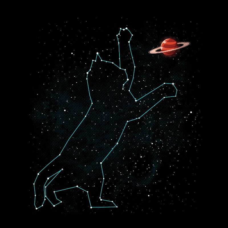 Constellation du chat