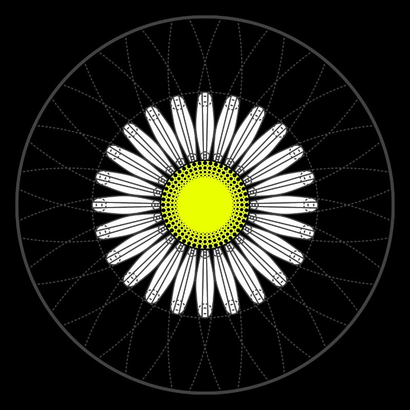 Gänseblümchen - Dunkel