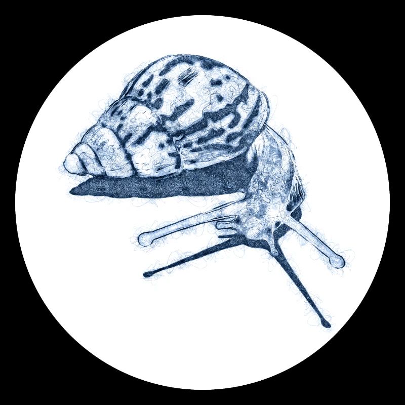 snail with shadow scribble art