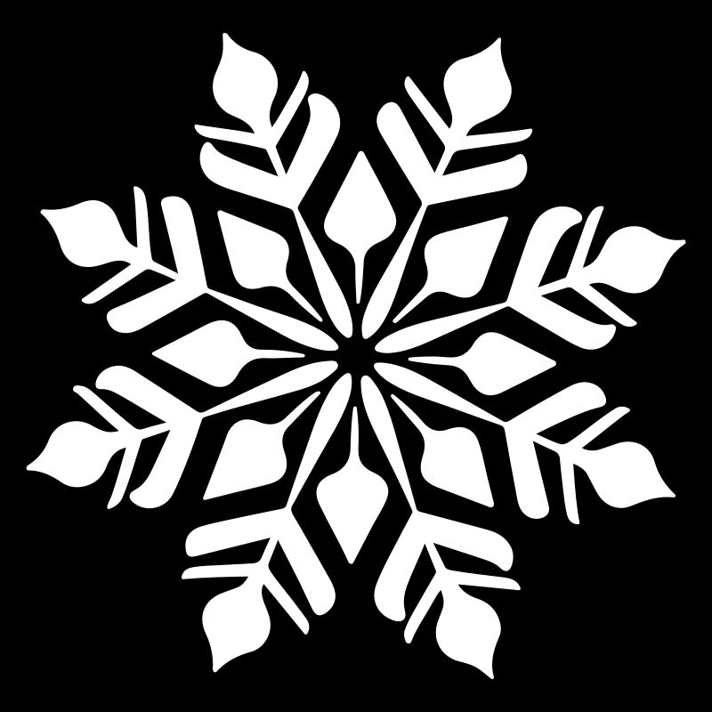 Snowflake Icon Winter