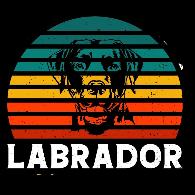 labrador