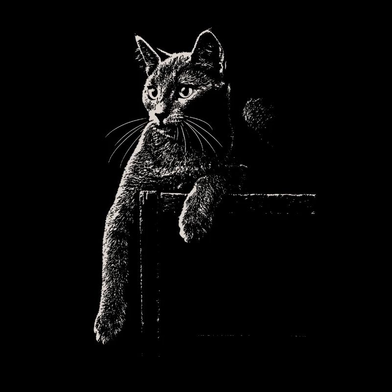 Karthäuser Katze