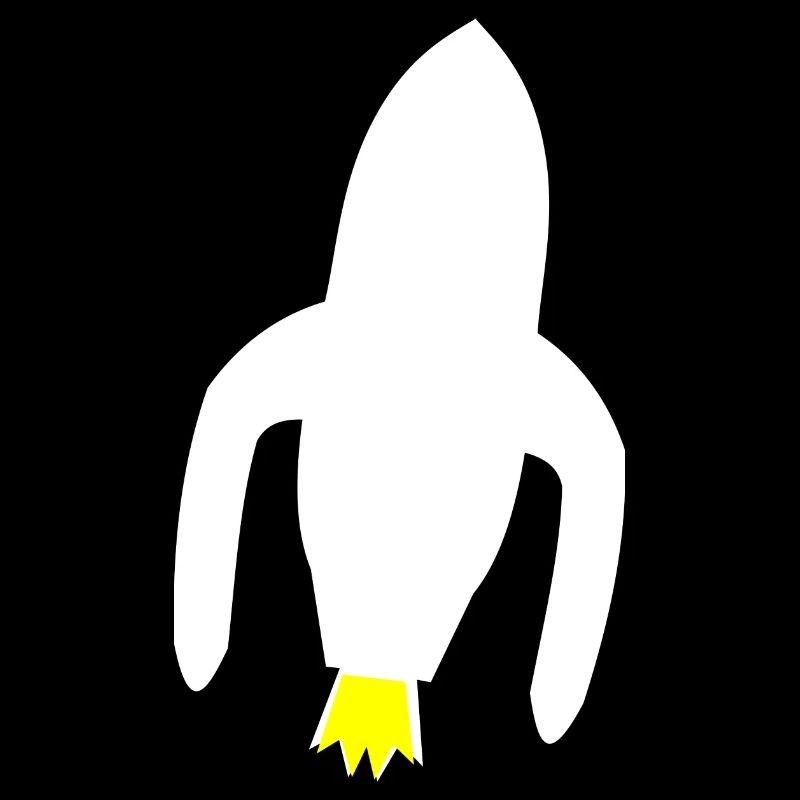 Les pionniers de l’espace