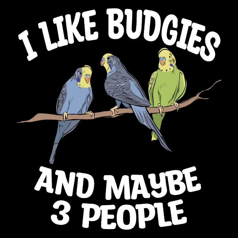Budgerigar lover