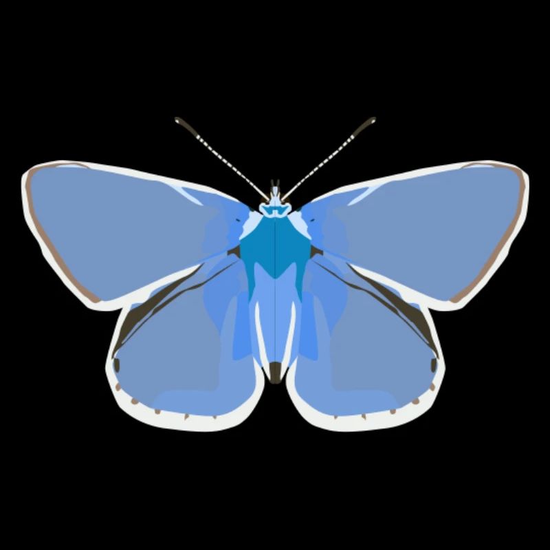 Schmetterlinge: Der gemeine Bläuling