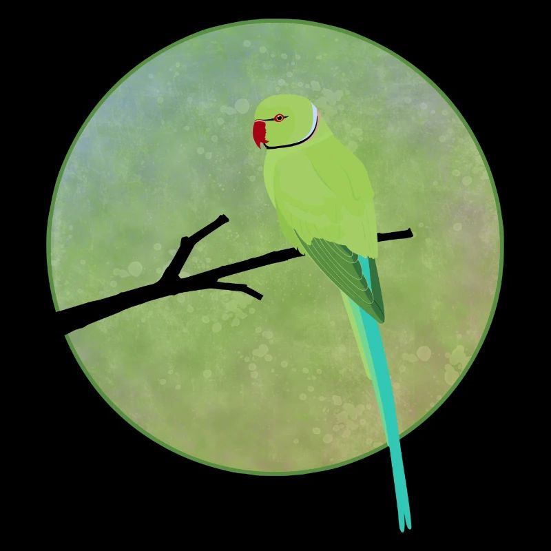 Perruche à collier Alexander Perruche Perruche Perruche Perroquet