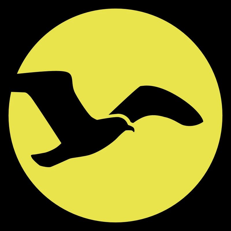 Möwe