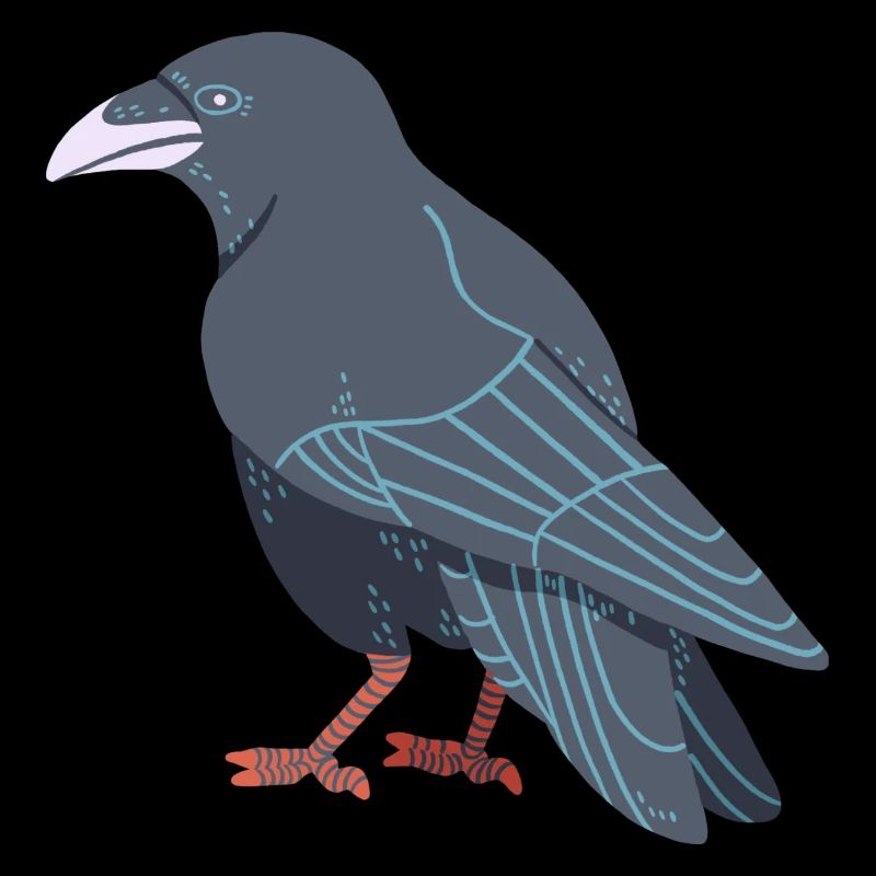 Carrion crow