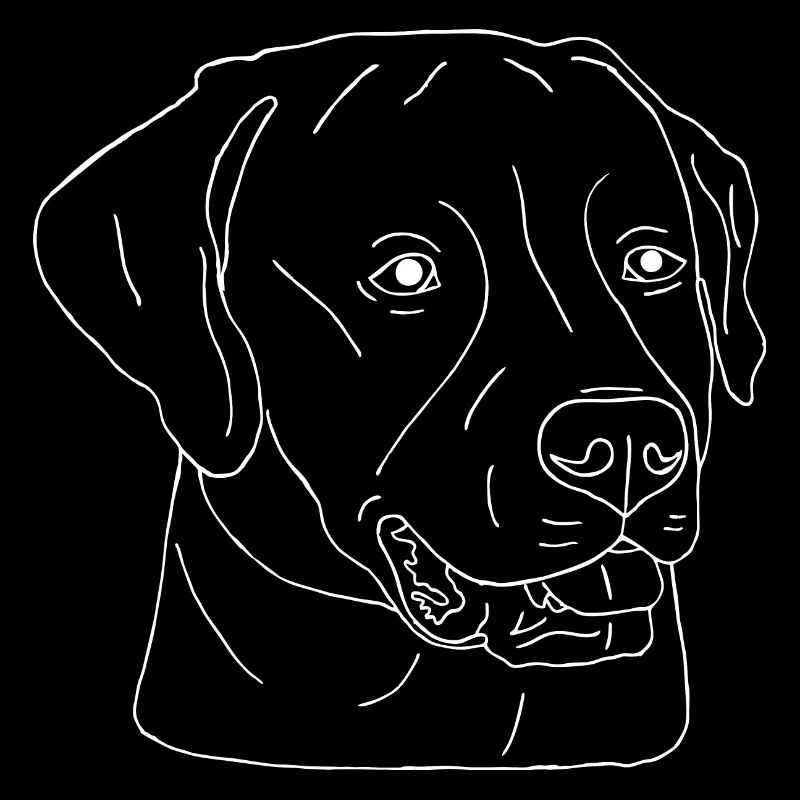 Labrador