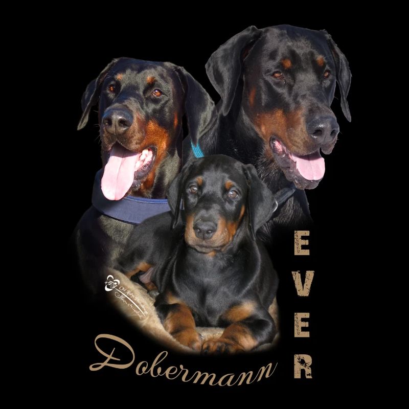 Dobermann