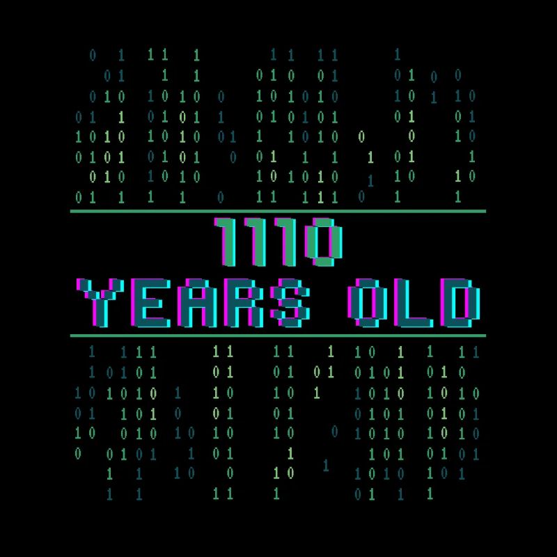 14th Birthday 14 Years Old Binary Code Coder