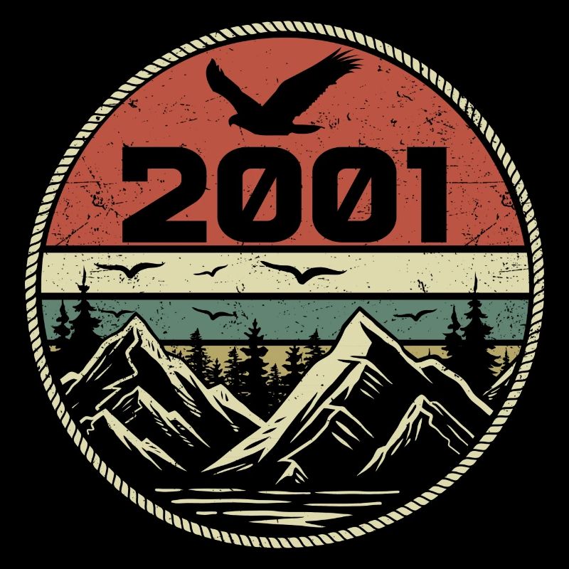 Vintage 2001 Classique 2001 rétro 2001 Cadeau 2001