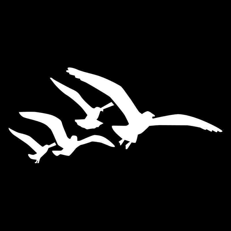 Seagull