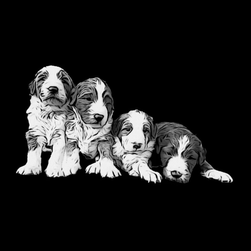 quatre chiots