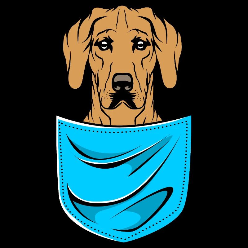 Rhodésian Ridgeback