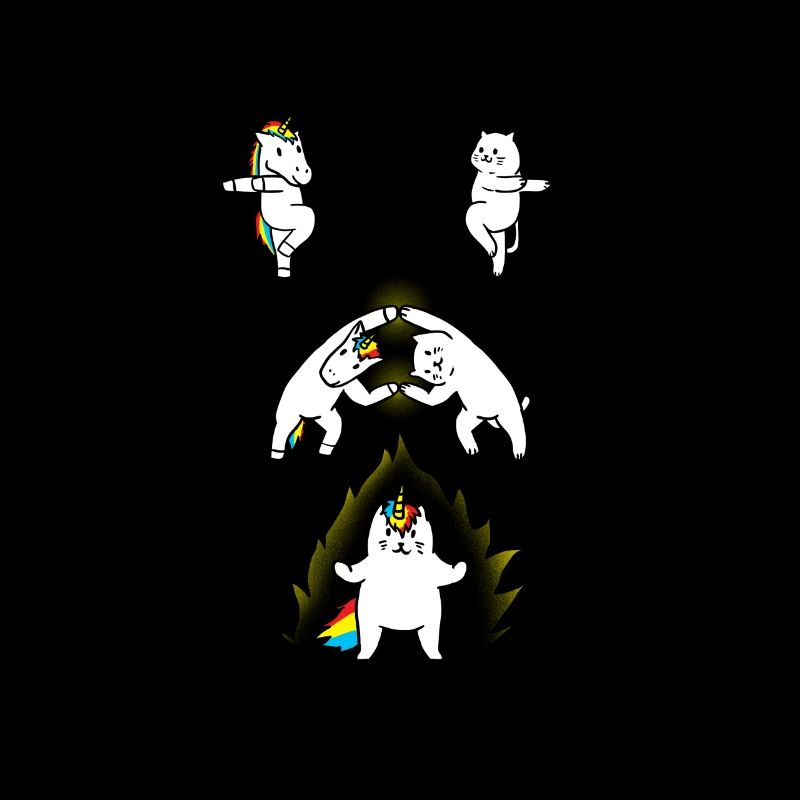 fusion chat licorne / cadeau