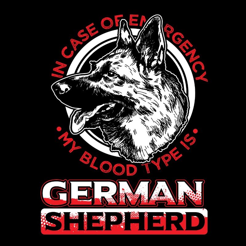 German shepherd