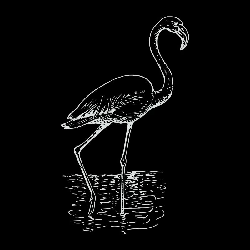 Flamingo dessin