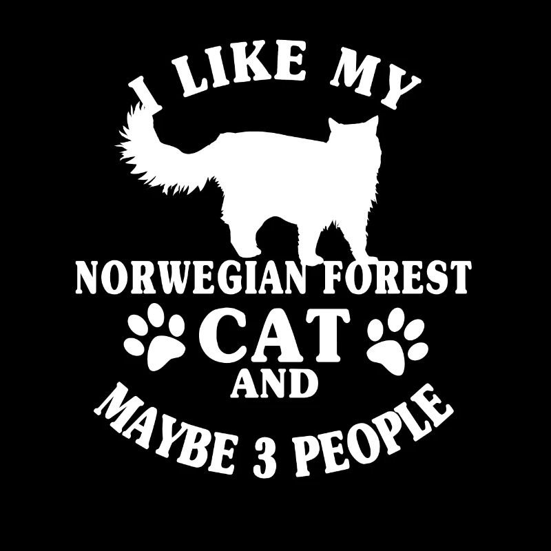 Norwegian forest cat cat lover