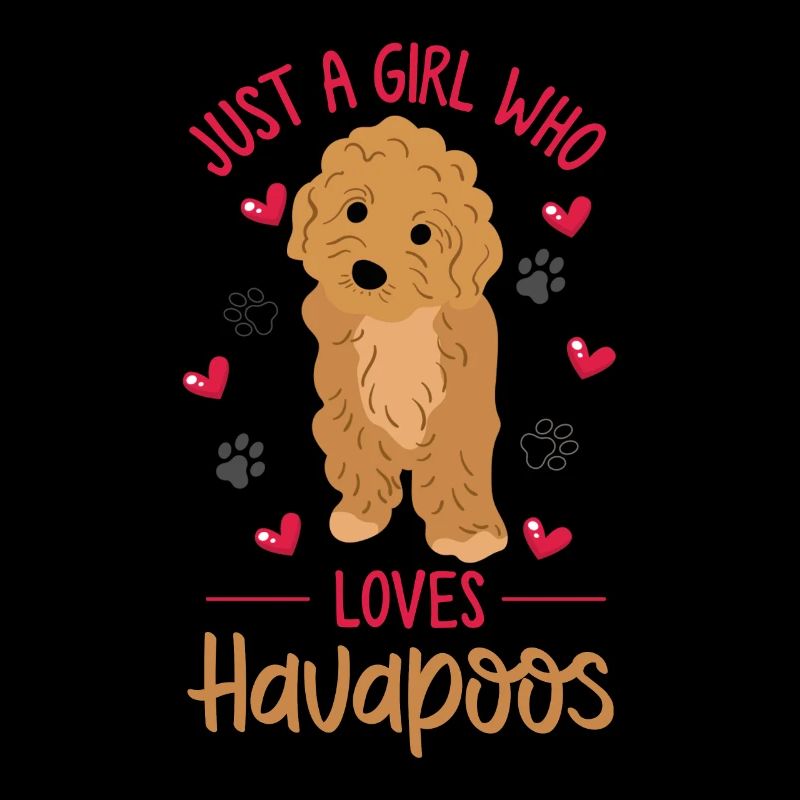 havapoo, havapoo havapoo mother, Havanese,