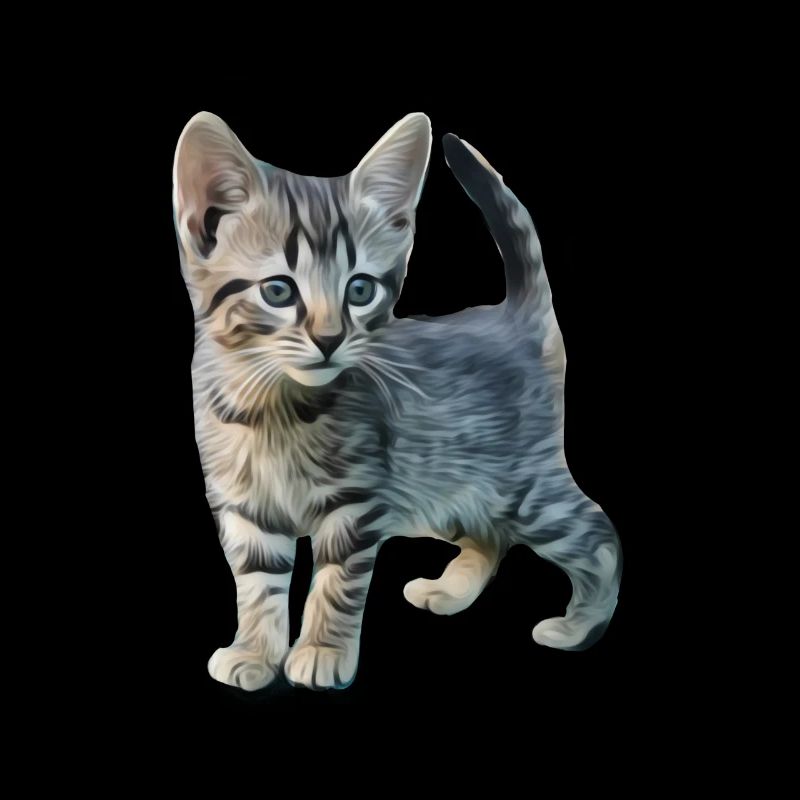 Chat mignon chat chat mignon animaux mignons