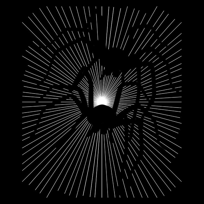 Spider Spiders Animals Crawling Disgust Horror