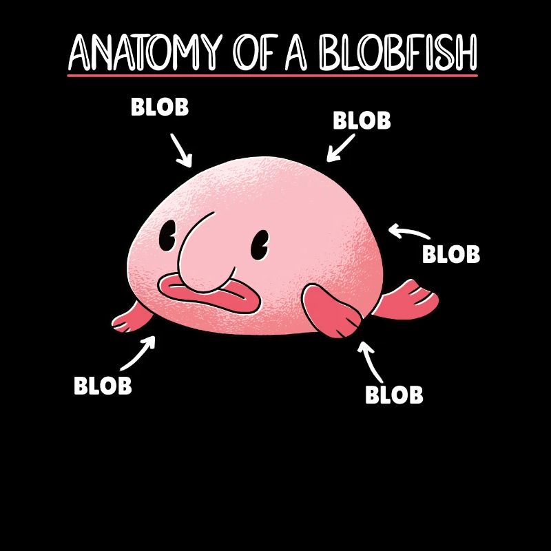 Blobfish Explication Anatomie d’un Blobfish