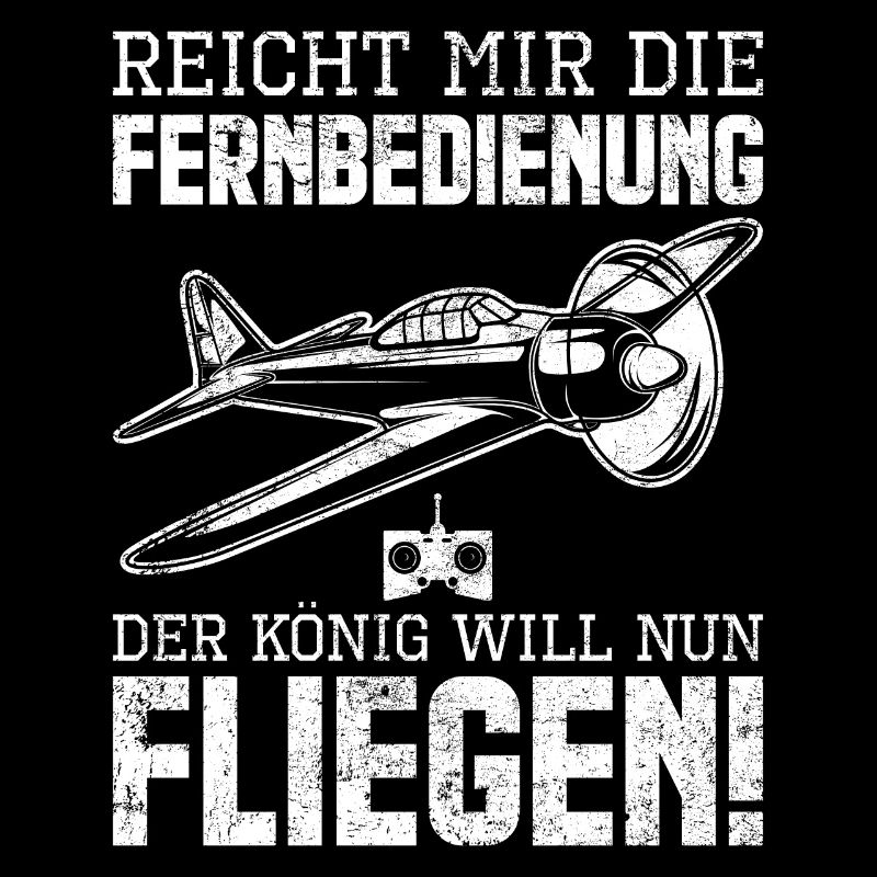 Modellbau Modellflug Pilot