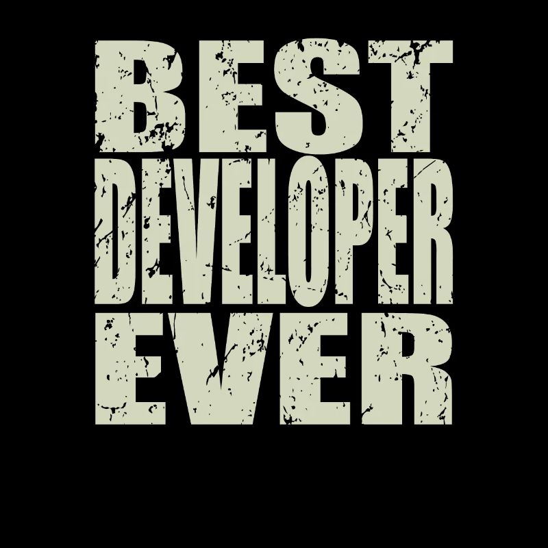 Best Developer ever Developer Gift
