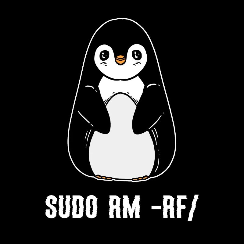 sudo rm rf / Programmeur informatique Linux