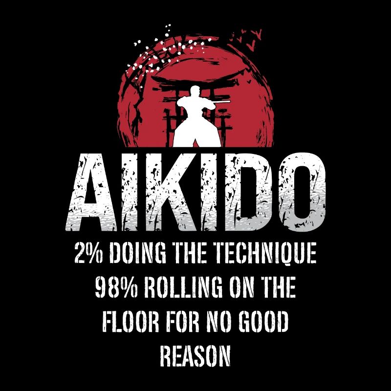 Aikido 2% Doing The Technique 98% Samurai Fighter