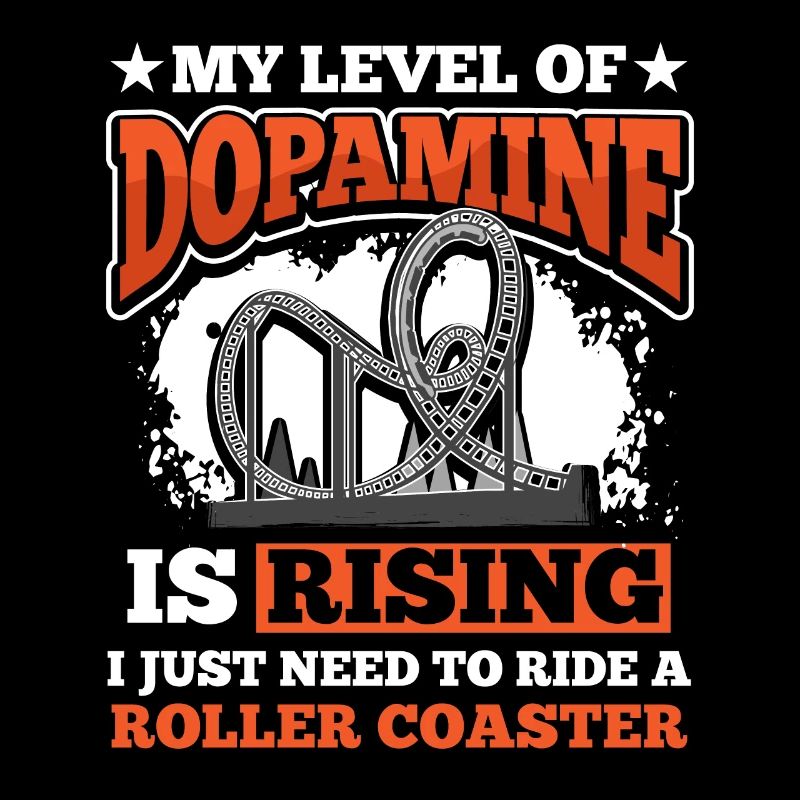 Park Riding Roller Coaster