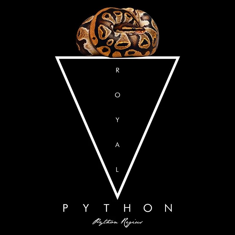 Royal Python géométrique moderne gardien de serpent