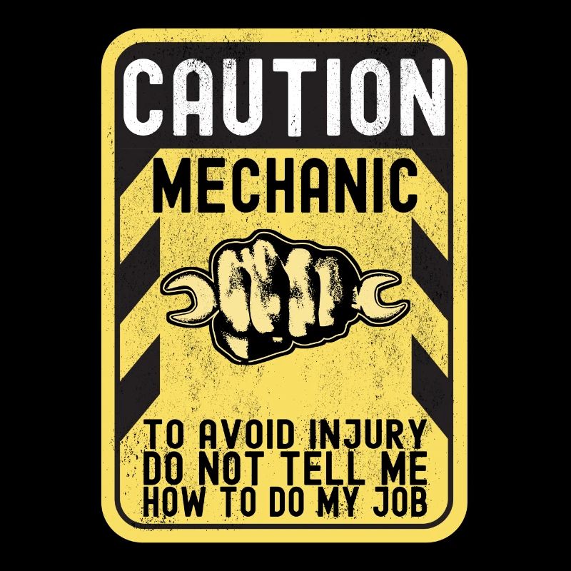 Car mechanic Mechatronics technician