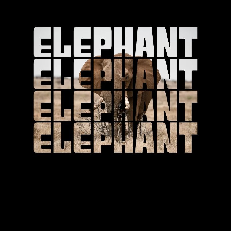 Elefant