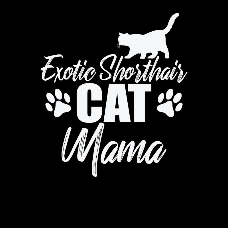 Exotic Shorthair Cat Mama Britisch Katze