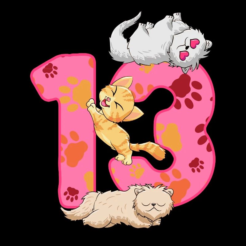 Chaton de 13 ans | Chemise d’anniversaire de chat