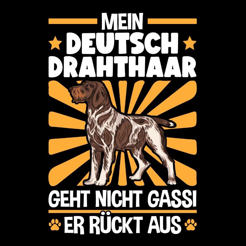 Deutsch Drahthaar Gassi gehen Jagdhund
